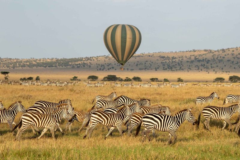 Affordable Tanzania Safari Packages 2026/2027