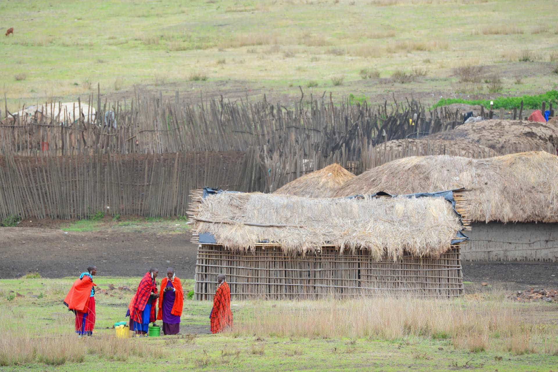 10 Day Tanzania Safari and Zanzibar Holiday: Wildlife, Adventure and Tropical Beaches