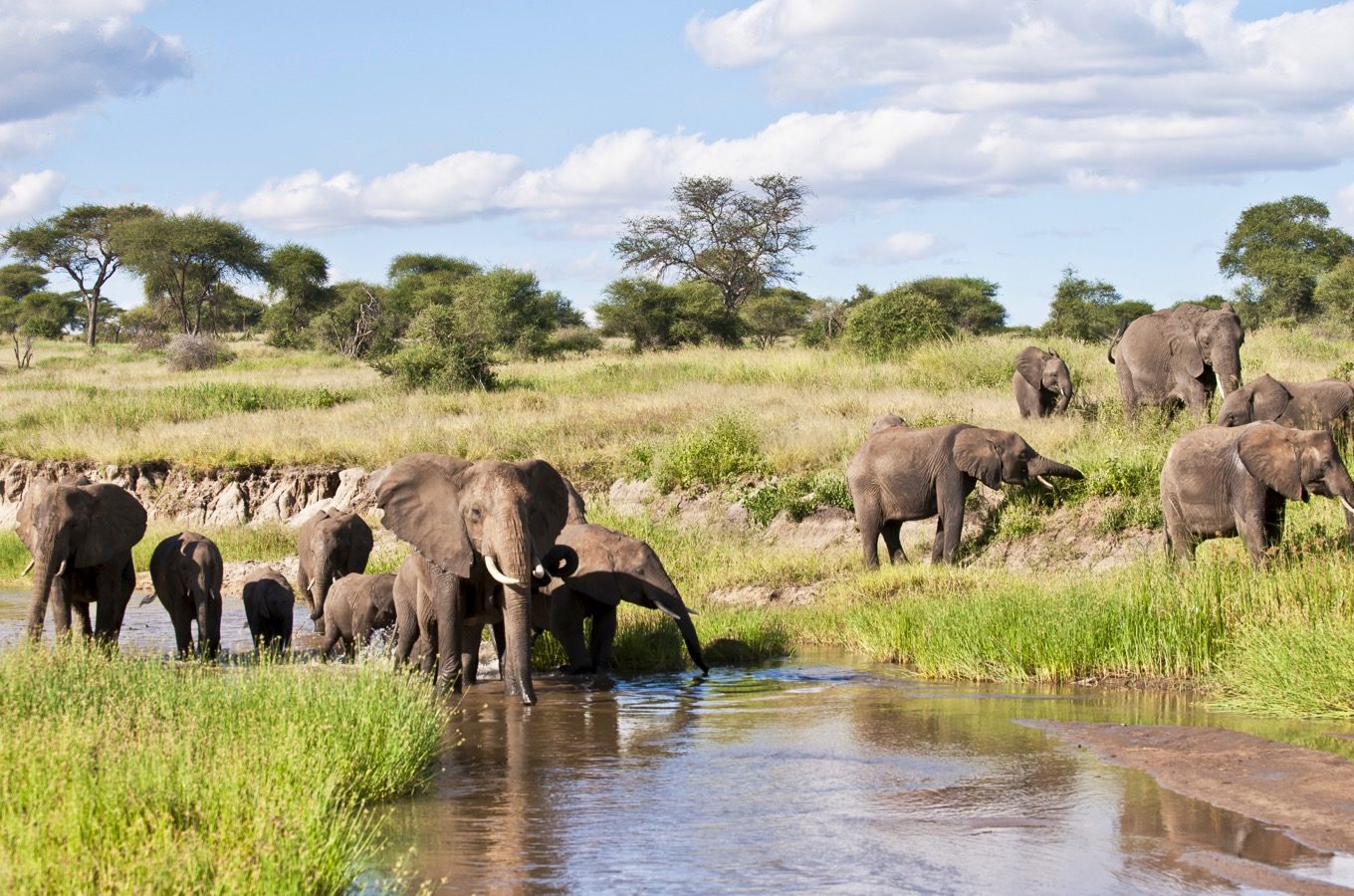 5 Day Honeymoon Safari in Tanzania