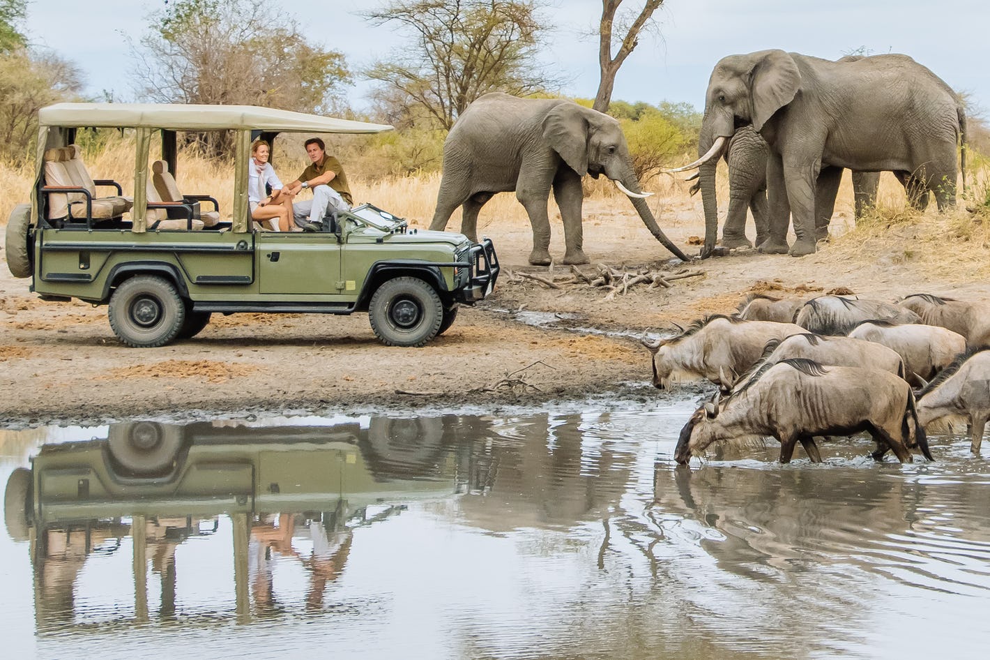 5 Star Safari Experience in Tanzania