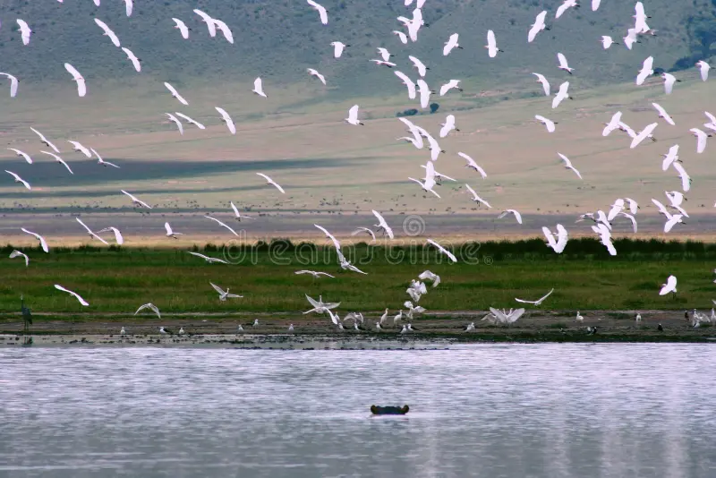 A Complete Guide to Visiting Tanzania in February