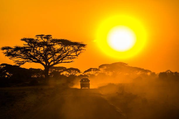 African Safari Travel Guide: What to See in Tanzania This Year