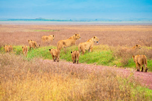 Best countries to go in october