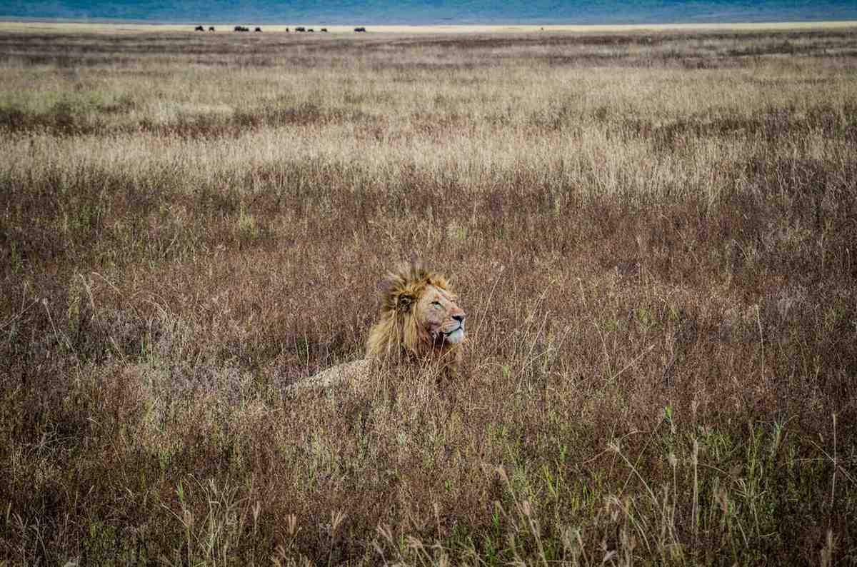 Best Tanzania Destinations in October