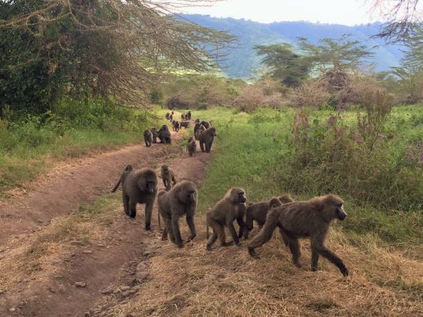 Best Holiday Destinations in October and November