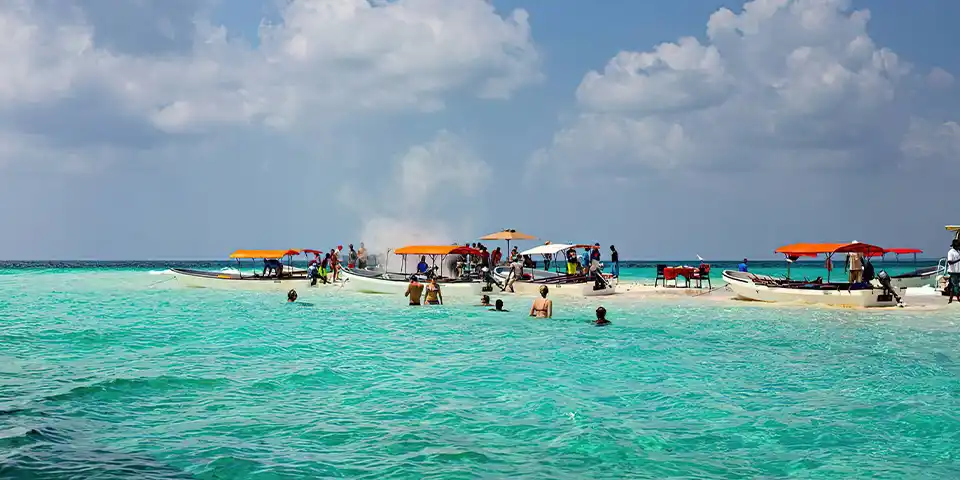 Best Holiday Safari in Tanzania