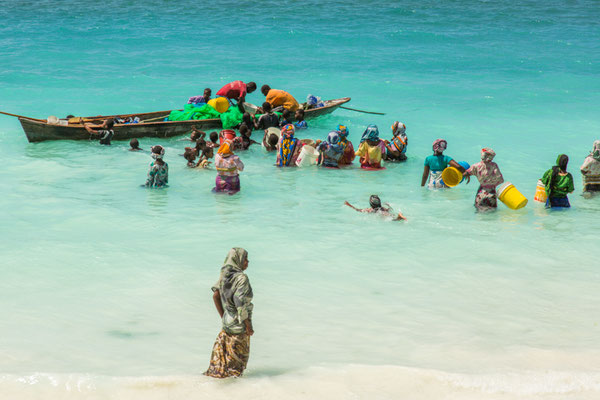 Best of Tanzania: Northern Circuit Safari