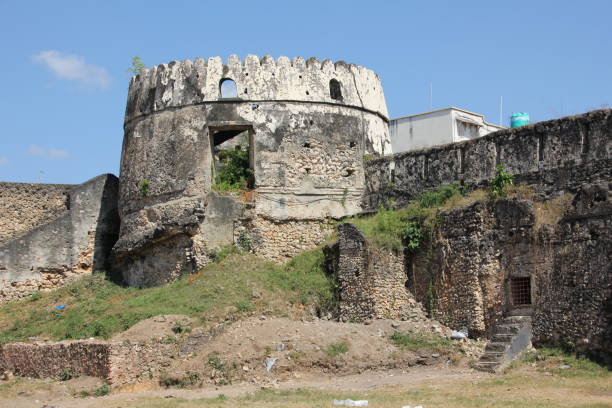 Tanzania Northern Circuit &amp;amp;amp;amp;amp;amp; Zanzibar Safari Guide