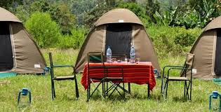 Camping Safari vs Lodge Safari: Which Tanzania Safari Experience Is Right for You?
