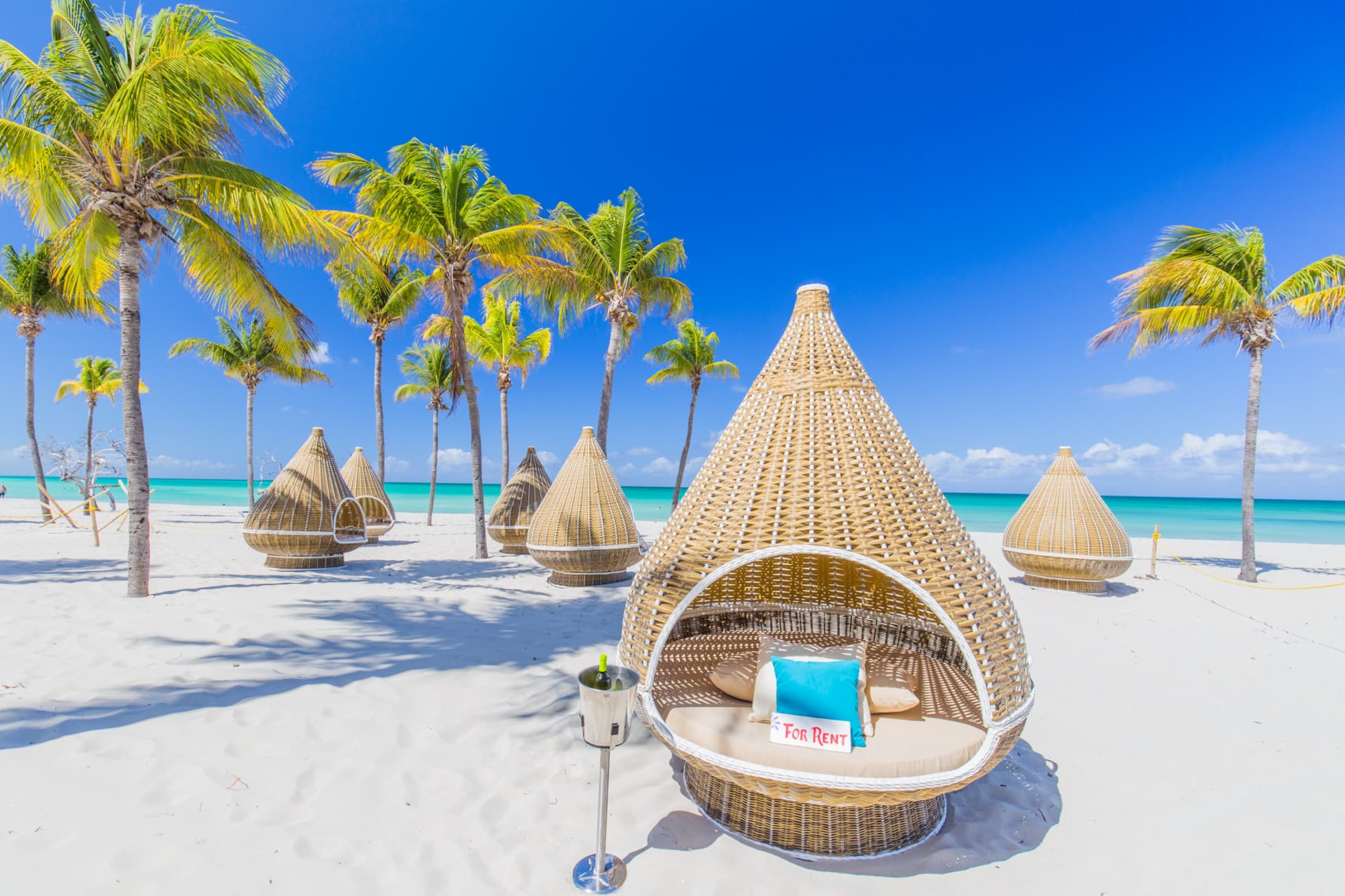 Exclusive Ndutu Honeymoon Safari | Off Road Calving Season