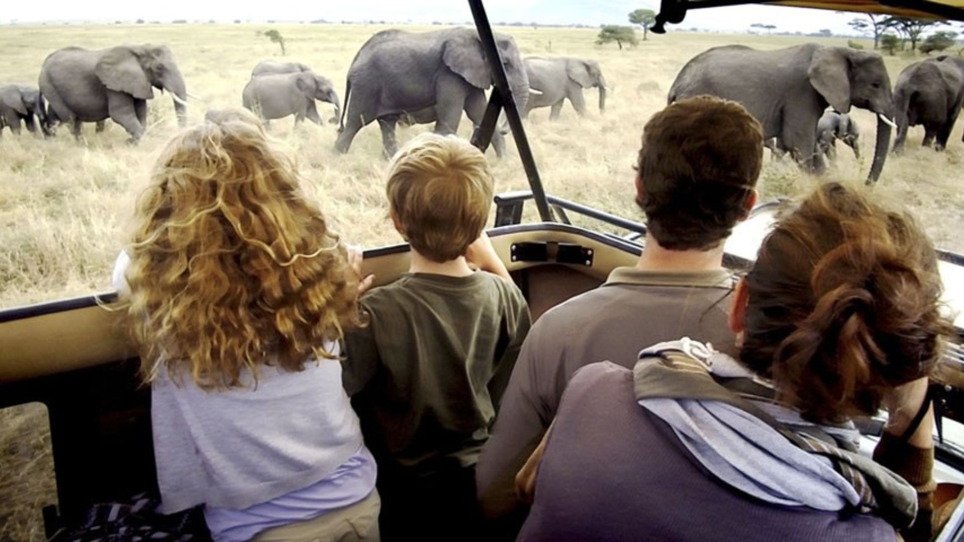 Family Adventures 2026: Wildlife Tracking &amp;amp; Zanzibar fun