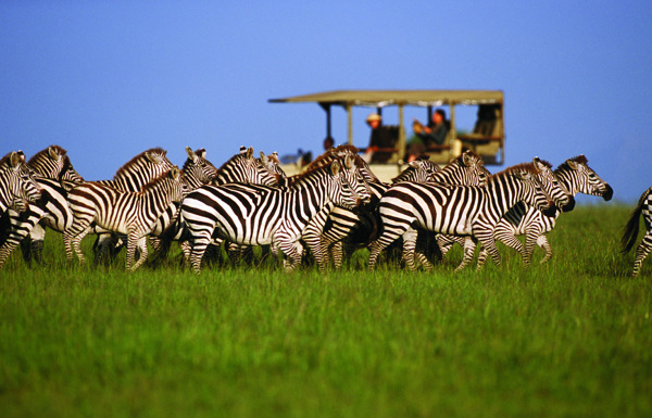 Family Safari Holidays in Tanzania