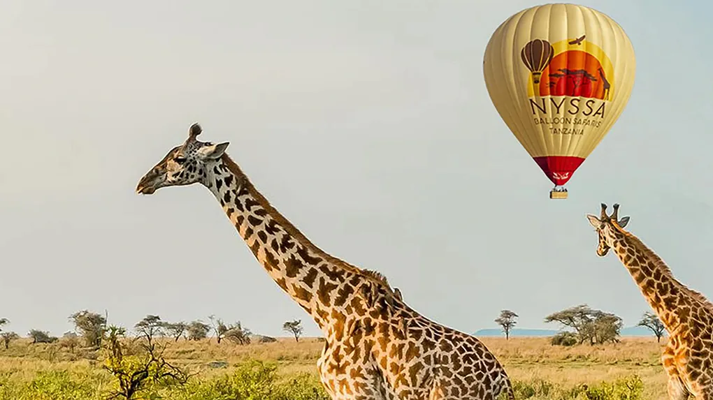 Hot Air Balloon Safari in Serengeti: A Once in a Lifetime Adventure
