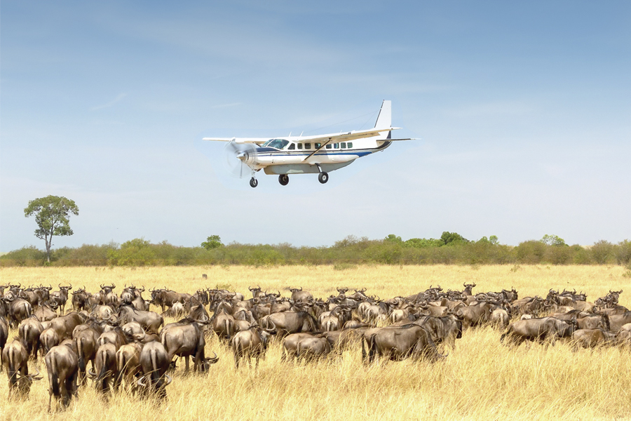 How to Fly from Serengeti to Zanzibar in 2026