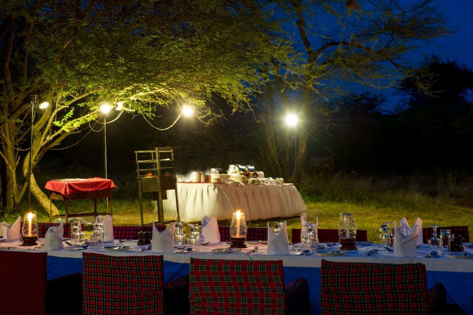 Luxury Safari in February: Discover the Calving Season in Serengeti National Park