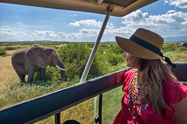 Ngorongoro Crater: A World Wonder on Your Tanzania Safari