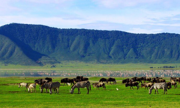 Ngorongoro Crater Honeymoon Views and Big Five Encounters