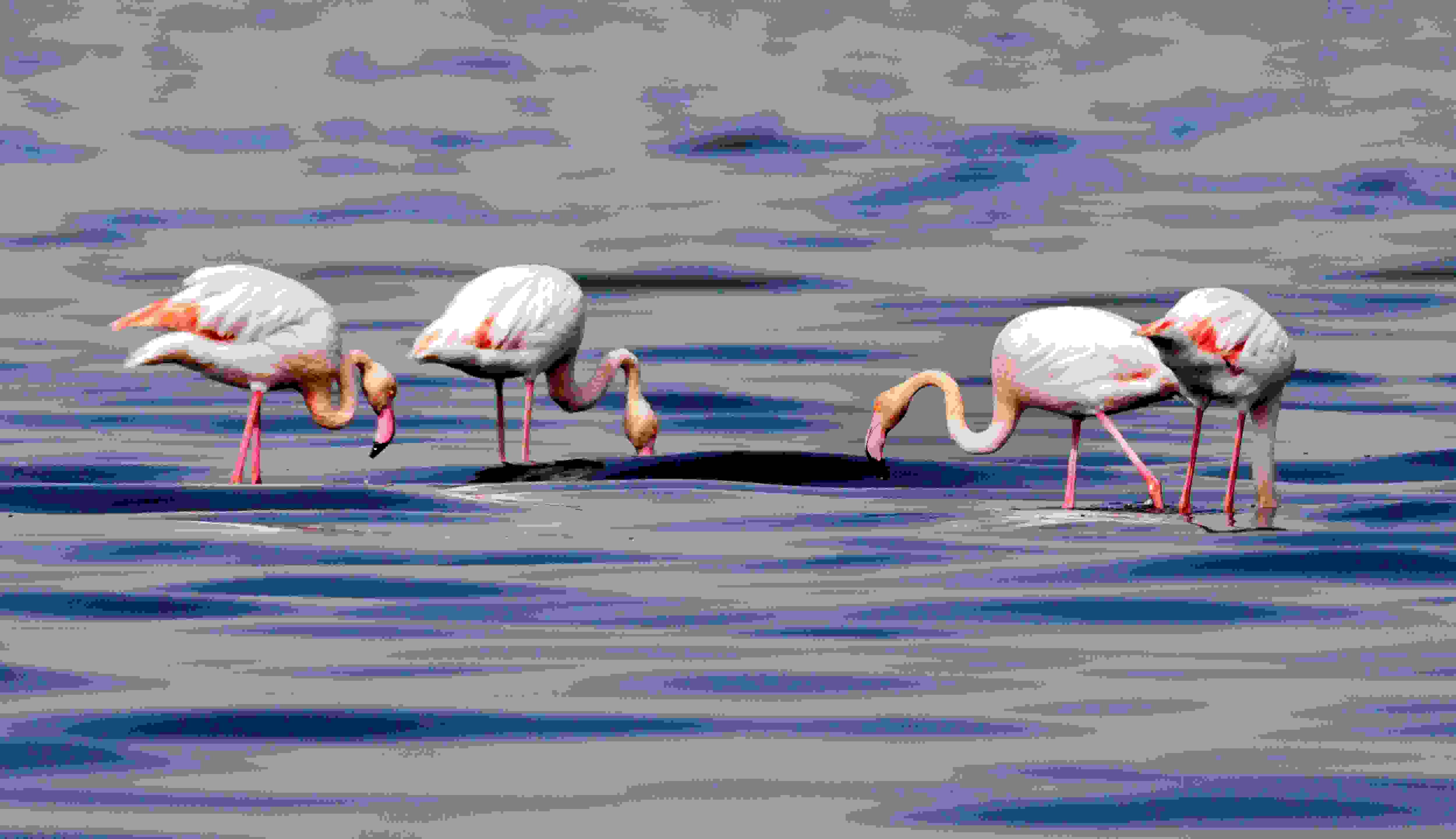 October Tanzania Safari &amp;amp;amp;amp; Beach Vacation Ideas