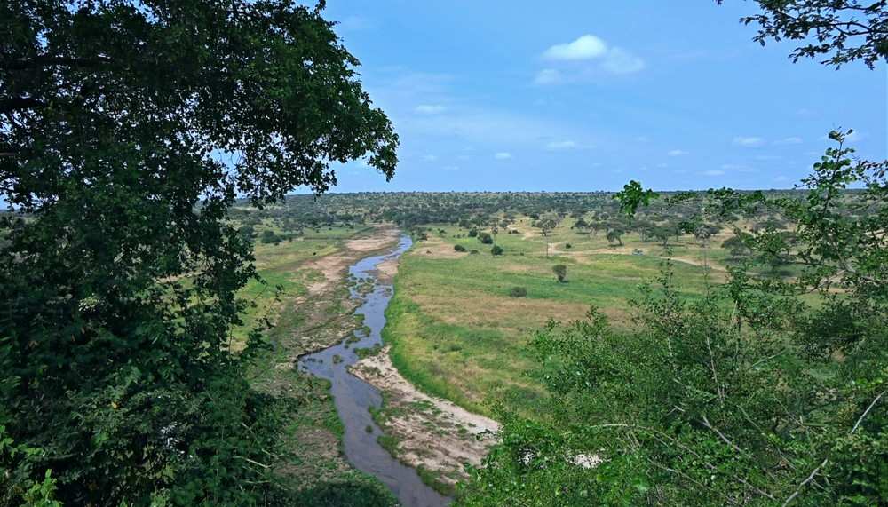 Photographer’s Paradise: Why the “Green Season” Light is the Best for Serengeti Wildlife Shots