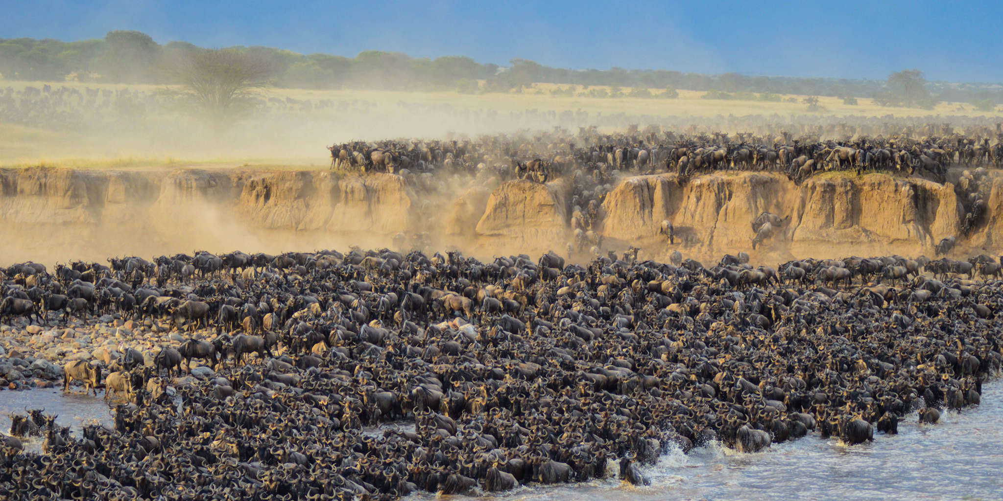 Serengeti Safari: A Classic African Adventure in Tanzania’s Northern Circuit