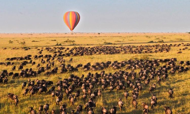 Serengeti Safari in Africa: A Journey Through Tanzania’s Northern Circuit