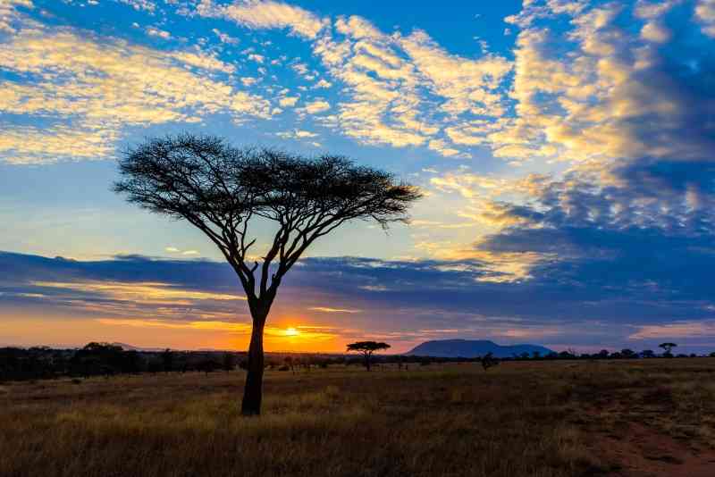 Tanzania Safari and Beach Holiday