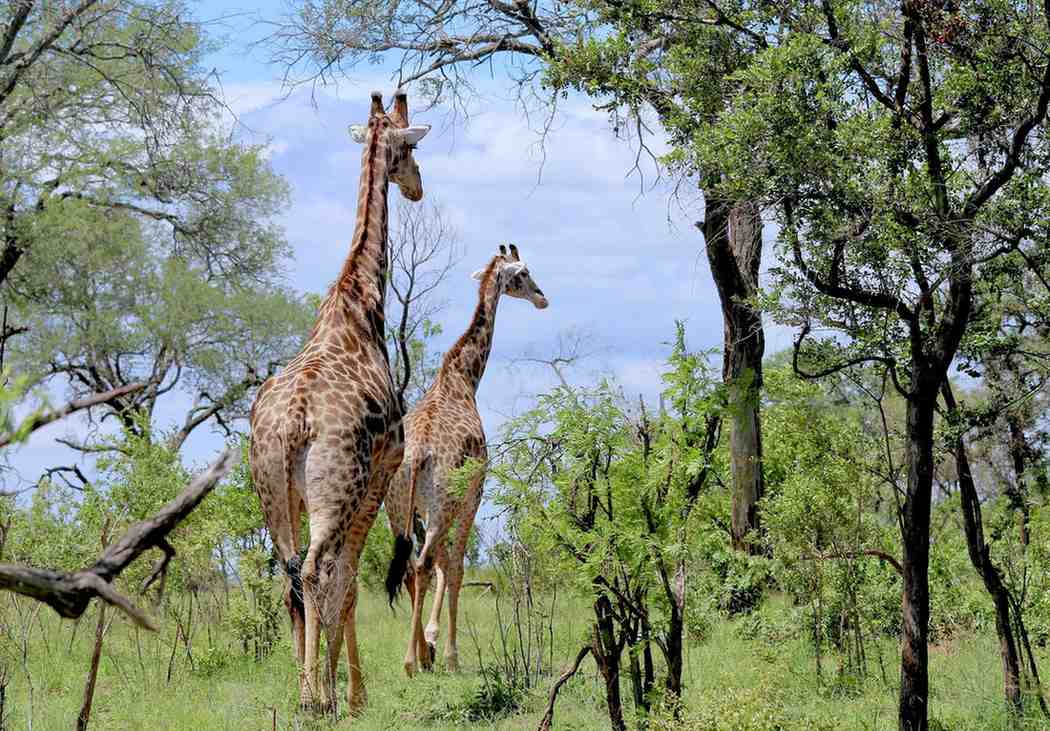 The Secret Season: Why May is the Best Kept Secret for a Serengeti Safari