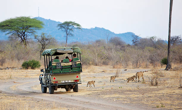 Top 10 Safari Mistakes First Time Travelers Make (and How to Avoid Them)