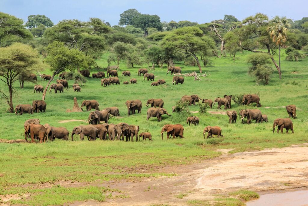 Visiting Tanzania in January