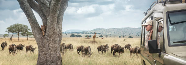Witness the Great Migration in 2026: Serengeti Safari Tips