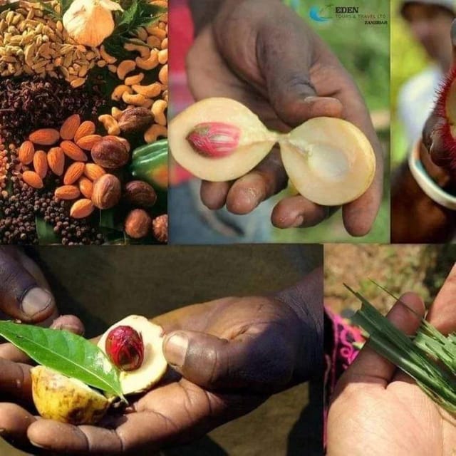 Zanzibar Multi-Center Holiday | Best Island Experience