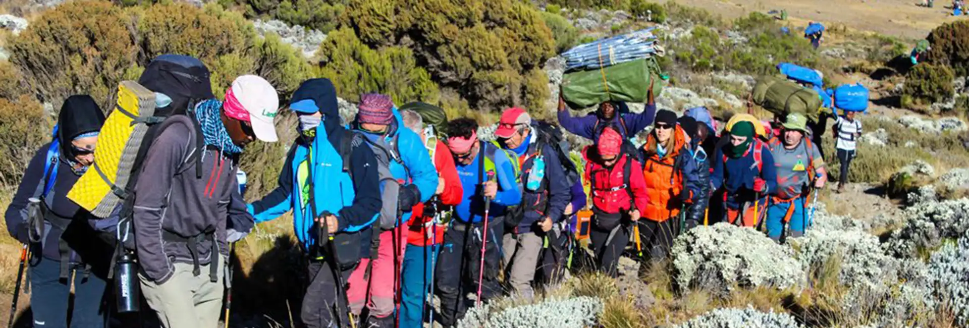 5-Day Marangu Route Affordable Kilimanjaro Climbing Tour