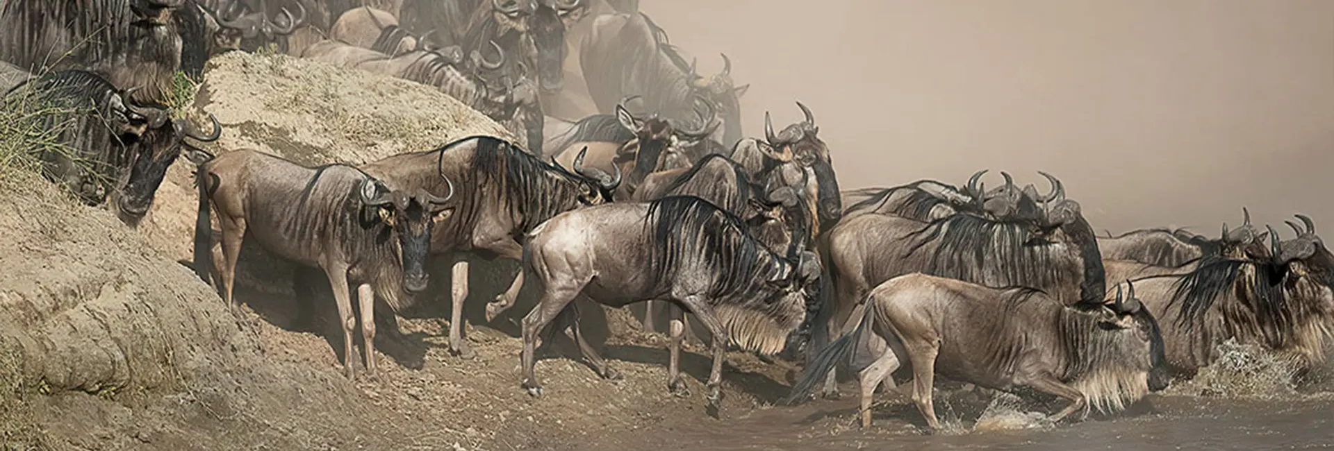 5-Day Peak Season Wildebeest Migration Safari (July-October)