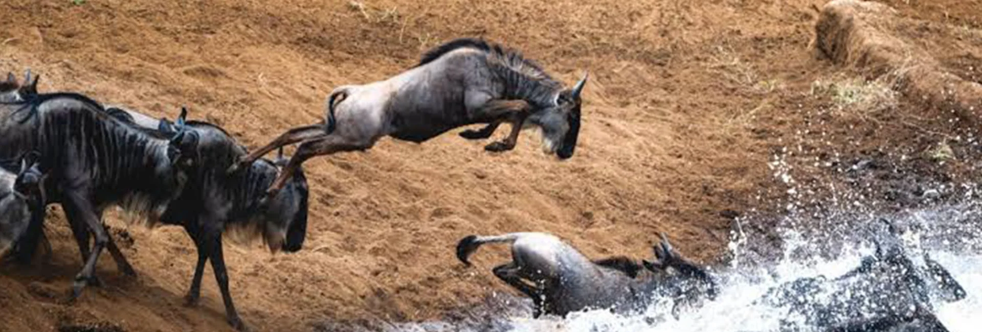 5-Day Private Great Migration Safari
