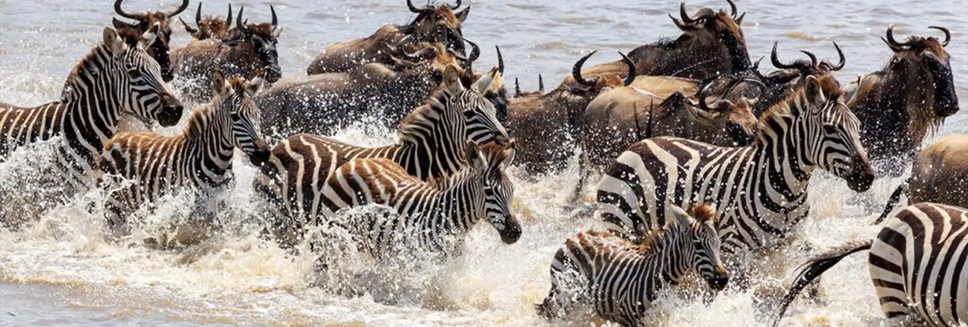 5 Days Serengeti Wildebeest Migration Safari 2026-2027 | River Crossing Migration Tour 2026-2027