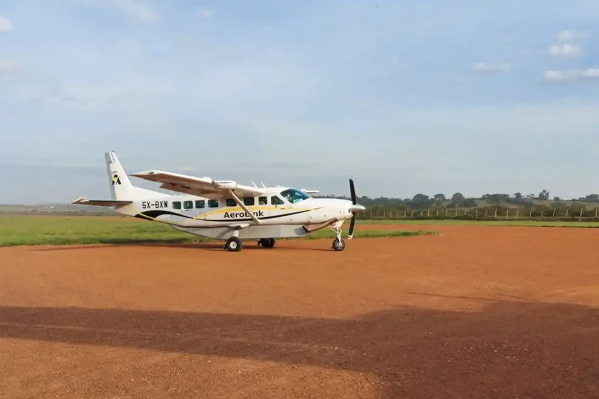 Fly-in Migration