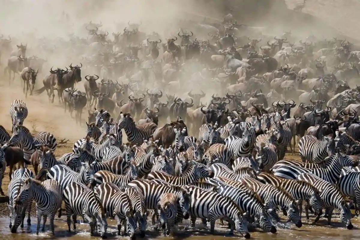 5 Days Super Great Migration Safari