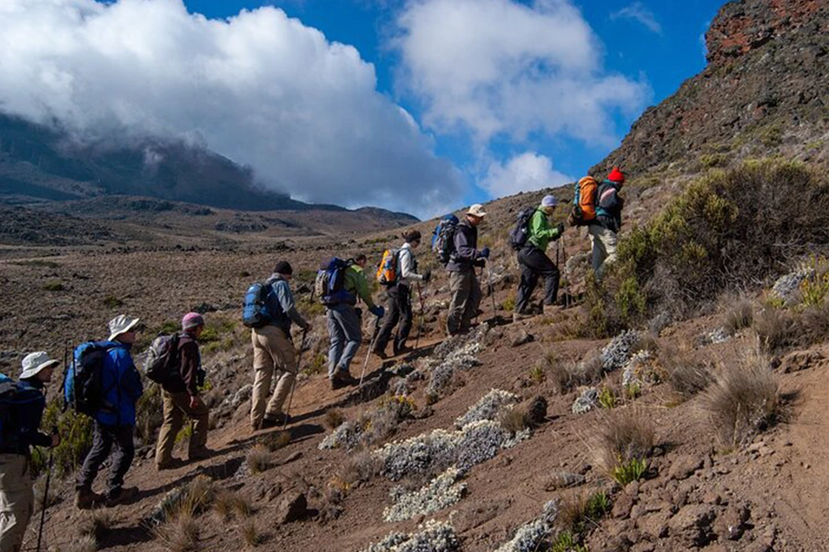 Kilimanjaro Climbing